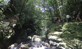 Bạch Mã - non xanh không dành cho xe máy