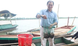 Anh Nguyễn Văn Nguyên bên trang trại nuôi tôm sú, cua biển của gia đình. Ảnh: Quang Lộc.