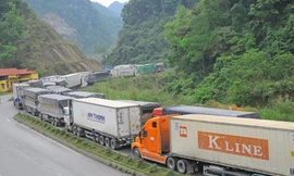 Lợi dụng các xe chở dưa bị ách tắc tại cửa khẩu, nhiều đối tượng đã trèo lên xe để trộm dưa của chủ hàng. Ảnh: Dân Việt