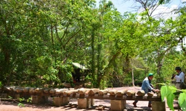 Bộ chiêng đá độc đáo.