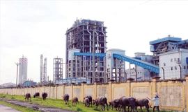 Việc trả nợ, giãn nợ vay và cơ cấu dòng tiền cho 4 dự án thua lỗ ngành hóa chất đang là vấn đề lớn đối với hoạt động của các đơn vị này.