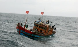 Bảo hiểm tàu cá là chính sách tốt đẹp, khuyến khích ngư dân bám biển nên việc trục lợi là không thể chấp nhận. Ảnh: Lê Hữu Việt.