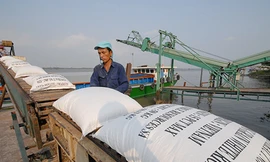 Xuất khẩu gạo, cao su Việt Nam tăng vọt