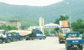 Xe bồn chở tro bay của Công ty Lê Nam thường xuyên vào ra cổng Nhà máy Xi măng Sông Gianh.