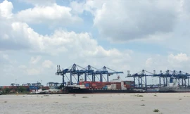 Hiệp hội doanh nghiệp dịch vụ Logistics Việt Nam cho rằng cắt giảm ĐKKD gây ảnh hưởng đến DN. Trong ảnh xuất nhập hàng hoá tại Cảng Cát Lái (TP HCM).