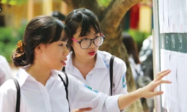 Học sinh thi vào đầu cấp năm nay và năm tới có nhiều thay đổi. Ảnh: Như Ý.