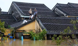 Lãnh đạo Trung Quốc, Lào thăm hỏi Việt Nam sau bão lớn