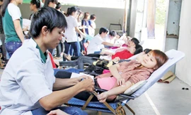 Hưởng ứng không khí của Chủ nhật đỏ, sinh viên các trường ĐH, CĐ ở Đà Nẵng nhiệt tình tham gia hiến máu. Trong ảnh: SV trường CĐ Thương mại tham gia hiến máu sáng qua, 31/1.