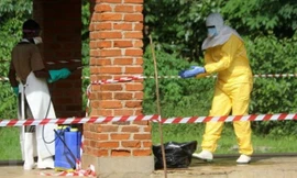 Không loại trừ nguy cơ dịch Ebola vào Việt Nam