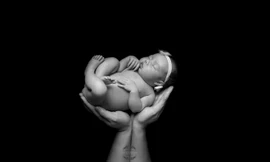 Người chụp ảnh những thiên thần bé nhỏ