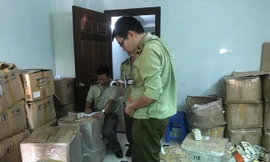 Lượng lớn thuốc đông dược nhập lậu bị phát hiện.