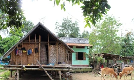 Ngôi nhà xây cấp 4 phía sau nhà sàn đã xuống cấp.