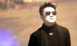 Đàm Vĩnh Hưng: Thiếu sắc, bất thành công