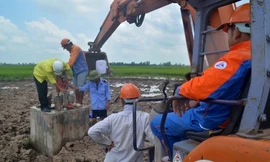 Kỷ luật hàng loạt cán bộ vụ trụ điện 220kV làm bằng bê tông trộn đất