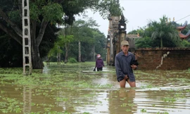 Dự báo lượng nước về hồ khác xa thực tế