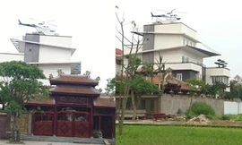 Đậu, rồi bay rồi tuột