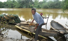 Người dân thu gom cá chết trên sông Sa Lung. Ảnh: Dân Việt
