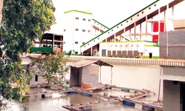 Các bè cá ngừng hoạt động do nước bị ô nhiễm từ Nhà máy giấy Lee&Man. Ảnh: VOV - ĐBSCL.