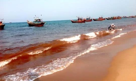 Vệt nước ven biển chuyển màu đỏ