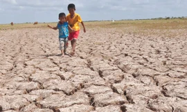 Đồng ruộng khô cằn vì hạn và mặn ở Bến Tre. Ảnh: Hòa Hội.