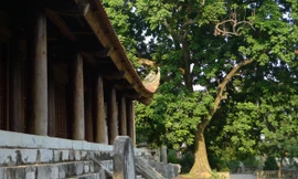 Di tích quốc gia chùa Trăm Gian có kiến trúc, cảnh quan đẹp nhưng liên tiếp sai phạm trong tu bổ.