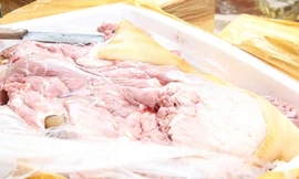 Hơn 700kg thịt đã bốc mùi nồng nặc. Ảnh: Dân Trí