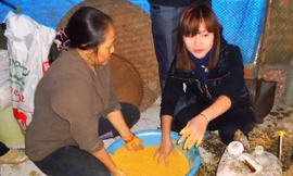 Thạc sĩ Hoàng Thị Lan Anh (phải) cùng bà con nông dân trộn thuốc tăng sức đề kháng cho vật nuôi.