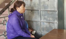 Bà Phạm Mỹ Linh, chủ cơ sở Mầm Xanh bị bắt tạm giam.