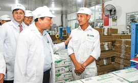 Mochaumilk giúp nông dân làm giàu, làm “đầu kéo” Tây Bắc