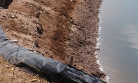 Người nuôi tôm gặp khó vì khô hạn