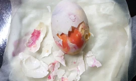 Quả trứng lạ của gia đình anh Giang.