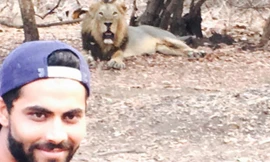 Bị phạt vì chụp ảnh tự sướng với sư tử 