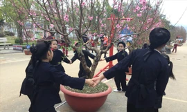 Vui với hoa đào nở rộ. Ảnh: Duy Chiến.