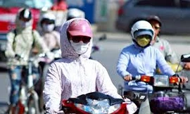 Mùa hè năm nay tương đối ôn hòa