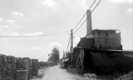 Lò gạch vẫn xả khói tại xã Võng Xuyên, Phúc Thọ, Hà Nội.