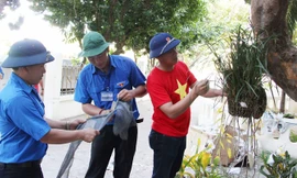 Các gương mặt trẻ Việt Nam tiêu biểu trồng lan trên đảo Trường Sa.