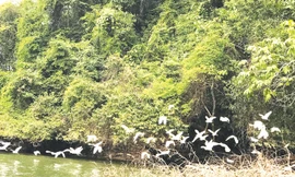 Cảnh đẹp sững sờ trên đường vào thôn Pác Ngòi. Ảnh: L.A.