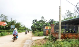 Ðường vào thôn Quảng Nam nói tiếng Sài Gòn Ảnh: Thanh Trần.