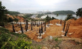 Kỷ luật Chánh thanh tra Sở Xây dựng Đà Nẵng về vụ 'cày xới' Sơn Trà