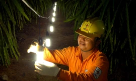 Cán bộ kỹ thuật Điện lực Chợ Gạo kiểm tra hệ thống điện chiếu sáng tại vườn thanh long gia đình ông Phan Thanh Quang. Ảnh: Đình Hoàng.