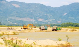 Công trường khai thác cát ở mỏ cát Kim Phú xã Đại Hồng (Đại Lộc, Quảng Nam) trên lòng sông Vu Gia tấp nập xe cộ, phương tiện.