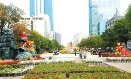 Đường hoa Tết Mậu Tuất 2018 mở cửa đón khách từ 19h tối 28 Tết.