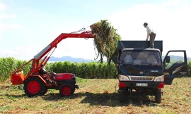 Nhiều doanh nghiệp phải trả lãi vay tiền tỷ mỗi ngày.