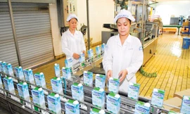 Thoái vốn nhà nước: Càng chuyên nghiệp hiệu quả càng cao