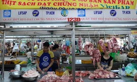 Mở 20 điểm bán hàng thịt lợn