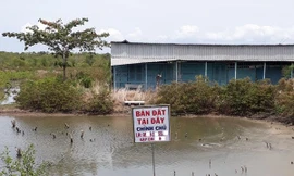 Kiến nghị giải pháp “hạ nhiệt” đất vùng ven TPHCM