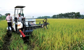 Cơ giới hóa sản xuất nông nghiệp ở tỉnh Vĩnh Phúc. Ảnh: Nhật Minh.