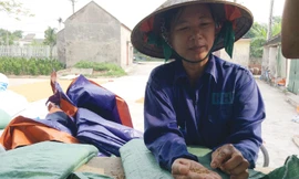 Người dân điêu đứng khi tham gia dự án sản xuất lúa giống.