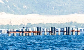 Hàng cọc đóng dang dở, dấu vết còn lại của dự án CTCQT Vân Phong.