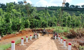 Cầu dây văng tại phường Thống Nhất vẫn chưa có đường vào.